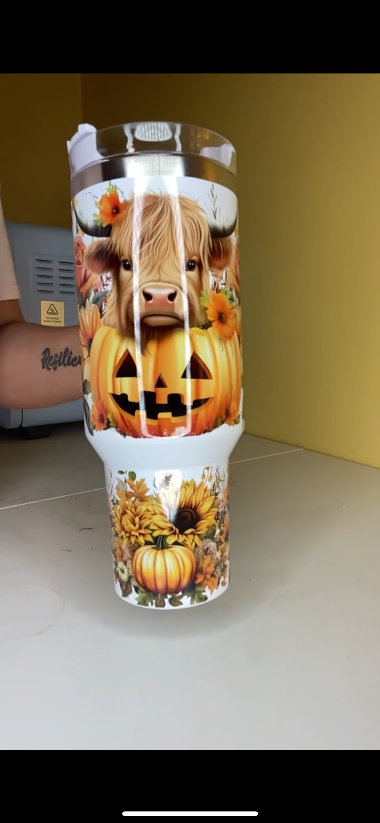 Highland Cow With Pumpkins 40 oz Tumbler